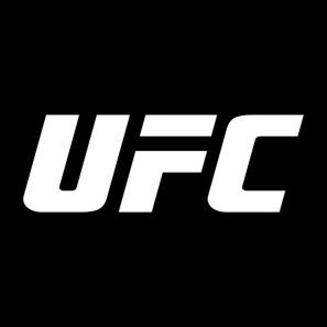 Qu’est-ce que l’UFC ?